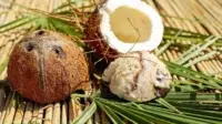 Menyambut Tren Penggunaan 'Coconut Milk'