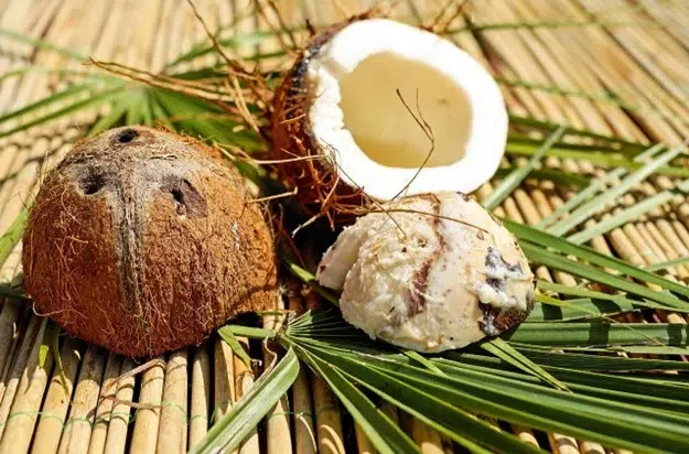 Menyambut Tren Penggunaan 'Coconut Milk'