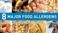 Modifikasi Protein Alergenik