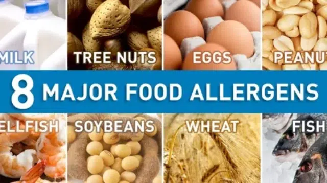 Modifikasi Protein Alergenik