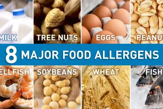 Modifikasi Protein Alergenik