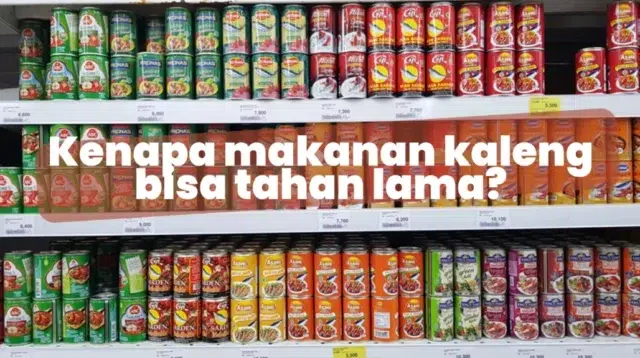 Rahasia di Balik Keawetan Makanan Kaleng: Teknologi Pengolahan Panas