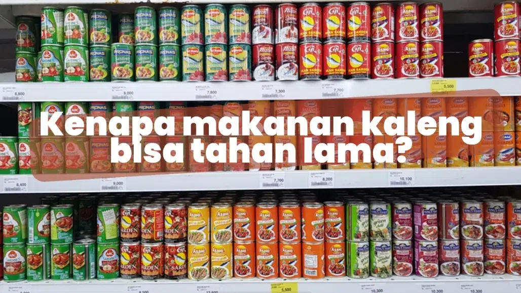 Rahasia di Balik Keawetan Makanan Kaleng: Teknologi Pengolahan Panas