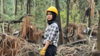 Deforestasi