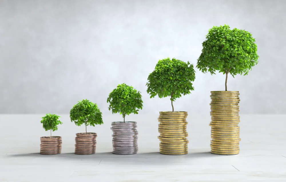 Investasi di Usia Muda