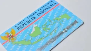 Kewarganegaraan: Lebih dari Sekedar Status di KTP