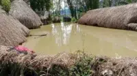 Opini Publik: Banjir Wamena, Tanda Bahaya bagi Tata Ruang dan Respons Bencana di Papua Pegunungan