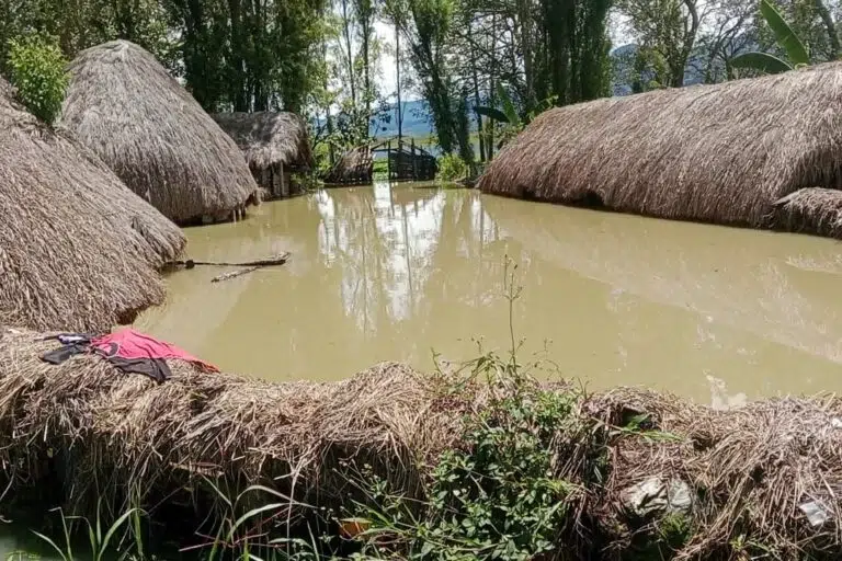 Opini Publik: Banjir Wamena, Tanda Bahaya bagi Tata Ruang dan Respons Bencana di Papua Pegunungan