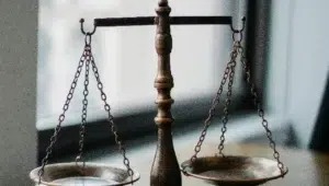 Check and Balances