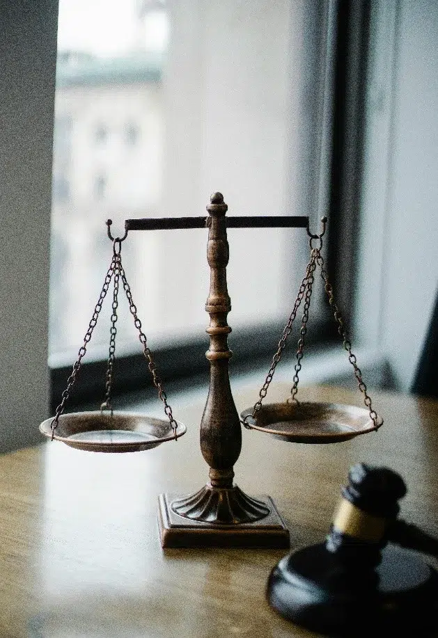 Check and Balances
