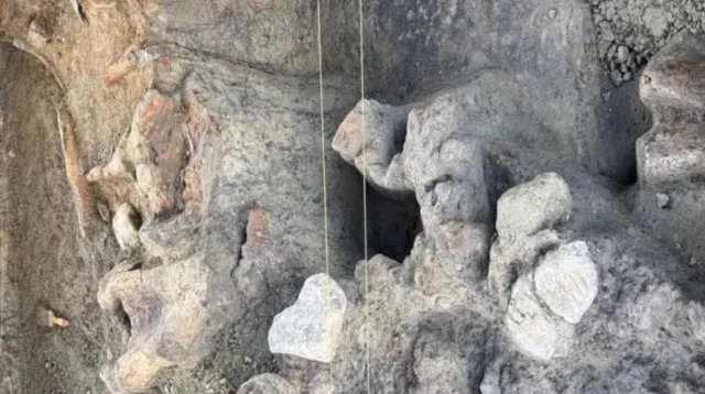 Ekskavasi Pencarian Fosil Situs Patiayam