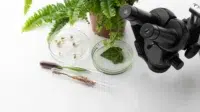 Botani Forensik