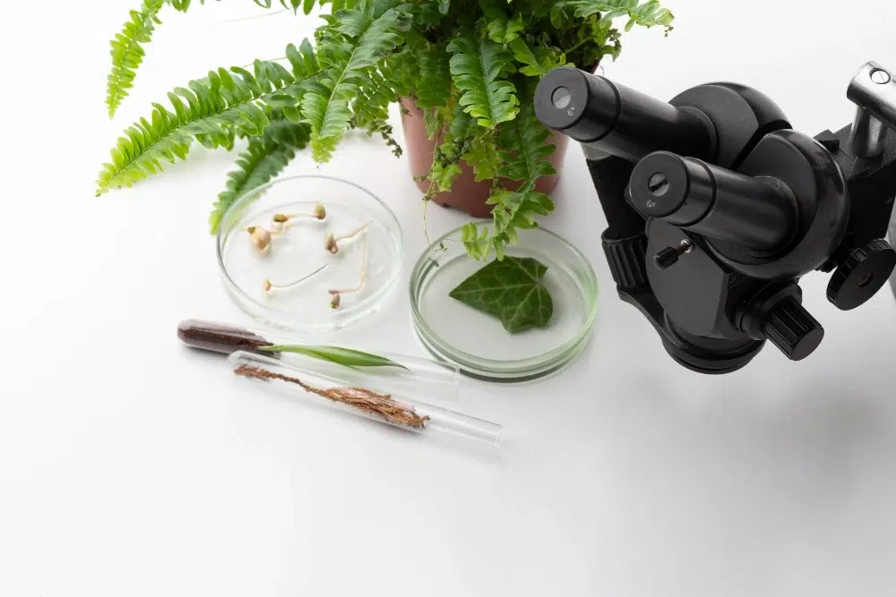 Botani Forensik