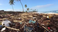 Tercekik Sampah Plastik: Potret Krisis Lingkungan di Kampung Nelayan Kota Jayapura