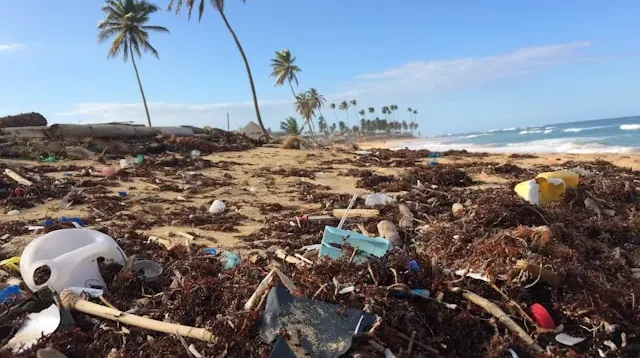 Tercekik Sampah Plastik: Potret Krisis Lingkungan di Kampung Nelayan Kota Jayapura