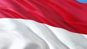 Merawat Akar, Menatap Dunia: Urgensi Menjaga Identitas Nasional di Tengah Arus Globalisasi