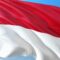 Merawat Akar, Menatap Dunia: Urgensi Menjaga Identitas Nasional di Tengah Arus Globalisasi