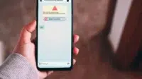 Woman receives message from suspected number scam.