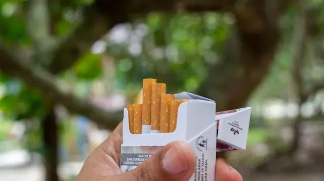 Mengapa Rokok Ilegal Tetap Dibeli? Menimbang Peran Hukum dan Kesadaran Masyarakat