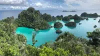 Greenpeace dalam Mengatasi Kritik Industrialisasi Nikel di Raja Ampat Gelar Aksi di Konferensi Nikel Internasional di Jakarta