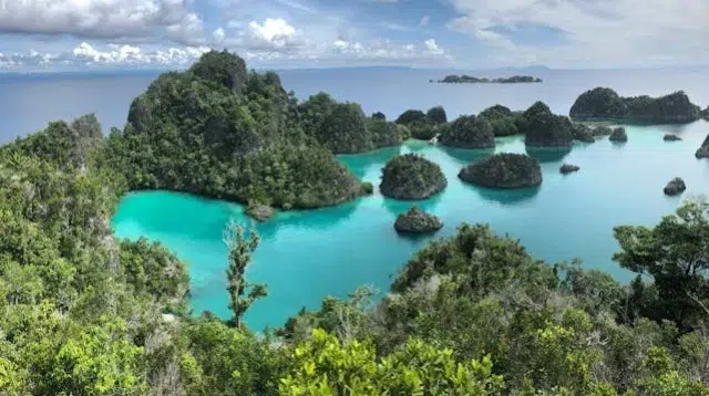 Greenpeace dalam Mengatasi Kritik Industrialisasi Nikel di Raja Ampat Gelar Aksi di Konferensi Nikel Internasional di Jakarta