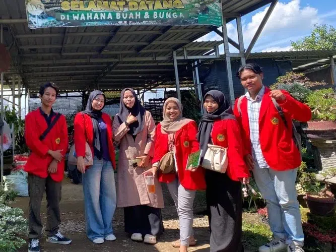 Bangkitkan UMKM dari Keterbatasan Digital.
