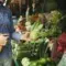 Harga Pangan Melonjak Saat Stok Melimpah, Ironi Pengelolaan Pangan Kita