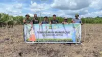 penanaman pohon mangrove
