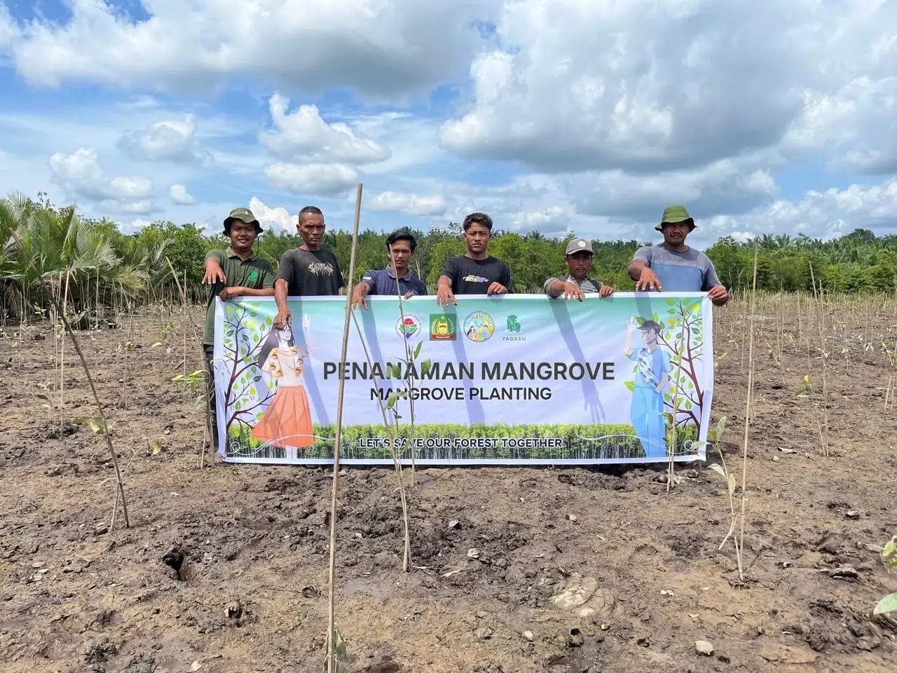 penanaman pohon mangrove