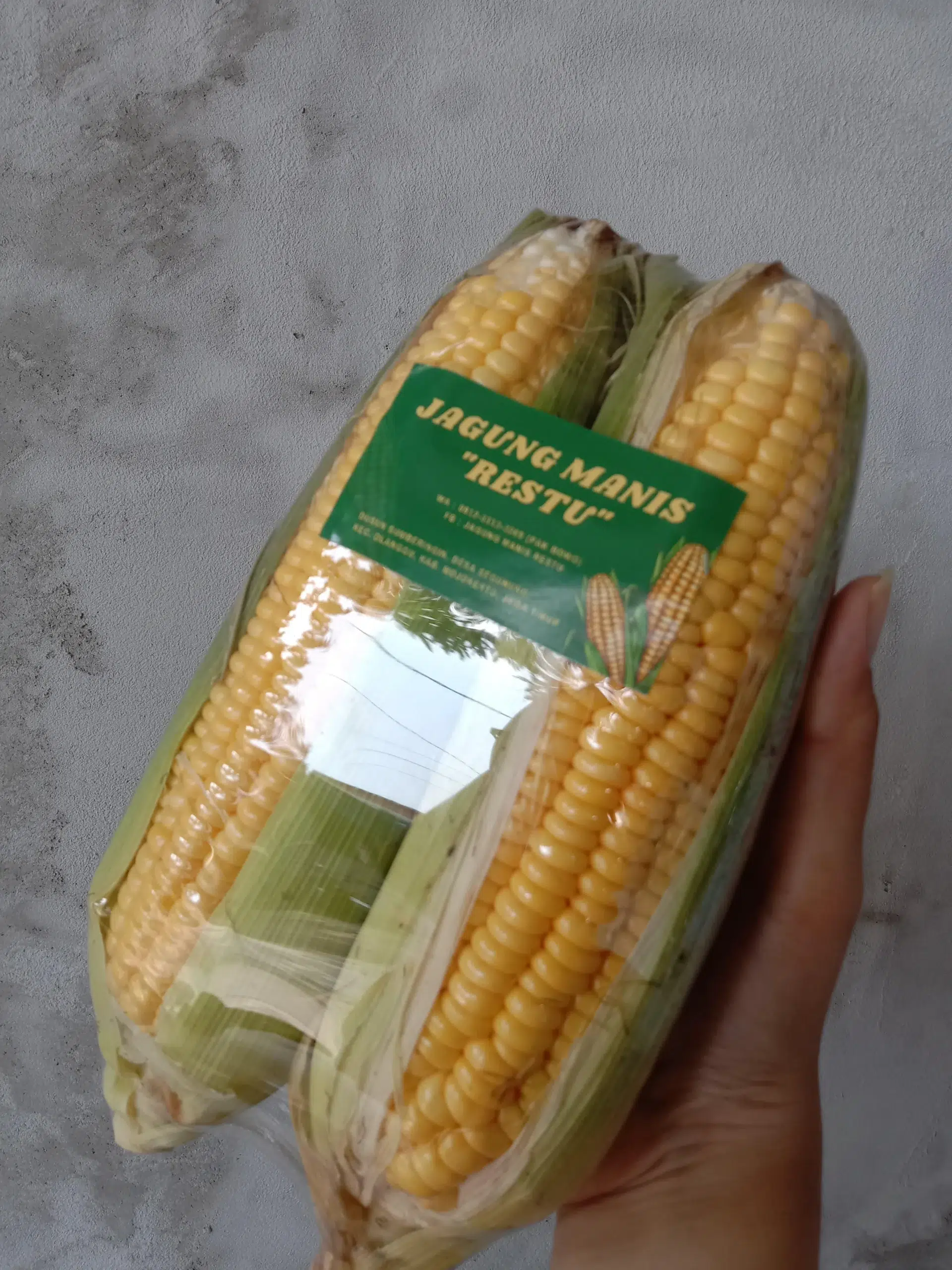 Harapan Baru UMKM Lokal.