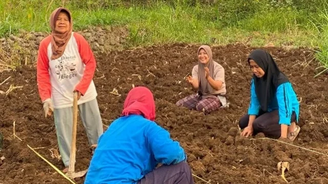 Optimalkan Lahan KWT untuk Penanaman Cabai dengan Sistem Irigasi Tetes di Dusun Tanjan.