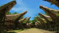 Budaya Toraja