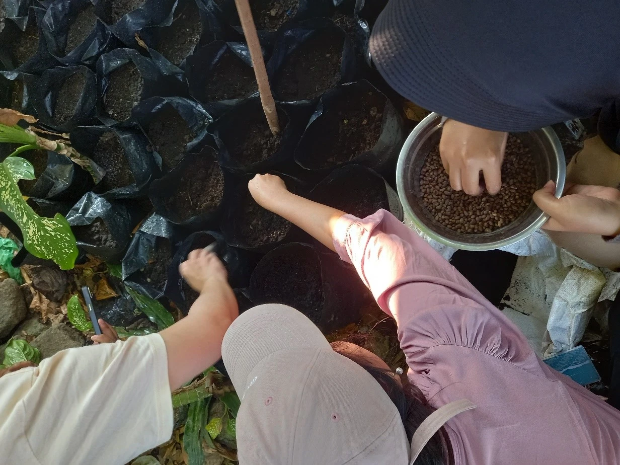 Ketahanan Pangan Keluarga