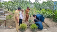Petani Desa Banyuputih Kidul .
