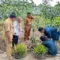Petani Desa Banyuputih Kidul .