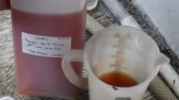 Limbah Jeroan Ikan