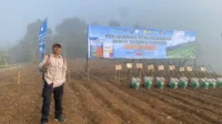 Launching Penanaman Perdana Penangkaran Benih Jagung Hibrida Varietas DBA 01