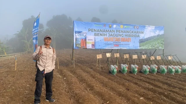 Launching Penanaman Perdana Penangkaran Benih Jagung Hibrida Varietas DBA 01