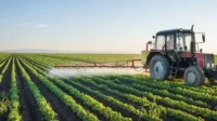 Agroindustri, Mesin Penggerak Ketahanan Pangan dan Ekonomi Nasional