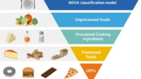 ultra-processed foods