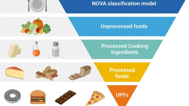 ultra-processed foods