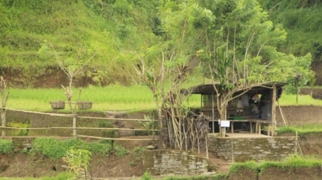 Krisis Tanah
