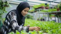 Mahasiswa Agribisnis UB: Gender Bukan Penghalang di Pertanian Peran Perempuan dalam Pertanian