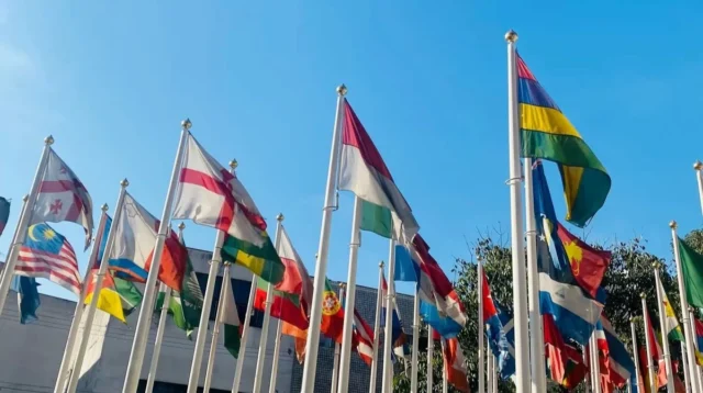 Apa Manfaat Bendera Negara Panduan Lengkap untuk Memahami Peran, Fungsi & Nilainya