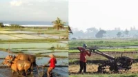Menjelajahi Apa Saja yang Berubah pada Masyarakat Modern Saat Ini Menjelajahi Apa Saja yang Berubah pada Masyarakat Modern Saat Ini