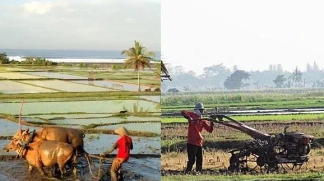 Menjelajahi Apa Saja yang Berubah pada Masyarakat Modern Saat Ini