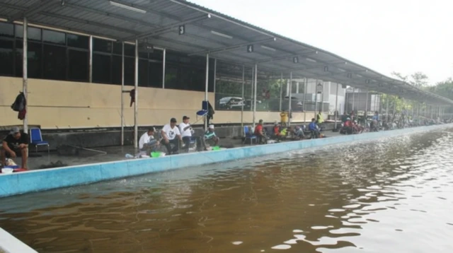 Peluang Usaha Kolam Pancing