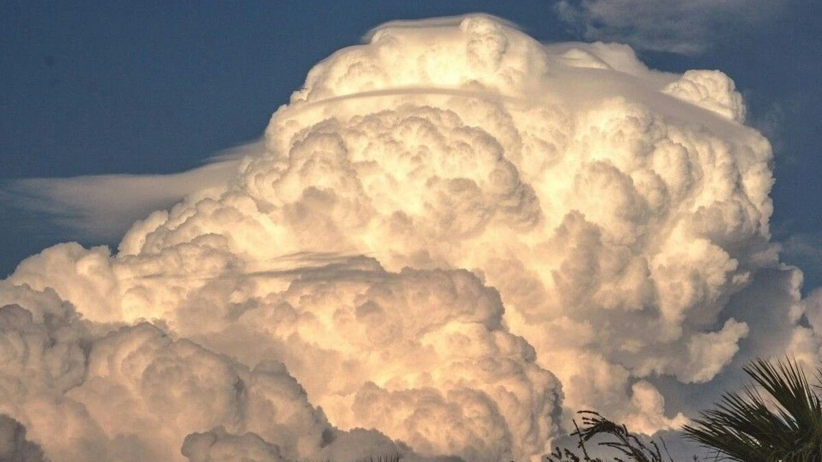 Awan cumulonimbus (Cb) adalah awan vertikal tinggi yang dapat menyebabkan cuaca ekstrem seperti badai petir, hujan lebat, angin kencang, hingga hujan es atau tornado