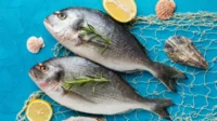 Fortifikasi Konsentrat Protein Ikan sebagai Intervensi Pencegahan Stunting pada Balita mencegah stunting pada balita