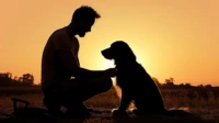 Sterilisasi Anjing: Jaga Kesehatan Organ Reproduksi, Bukan Sekadar Kontrol Populasi Sterilisasi Anjing